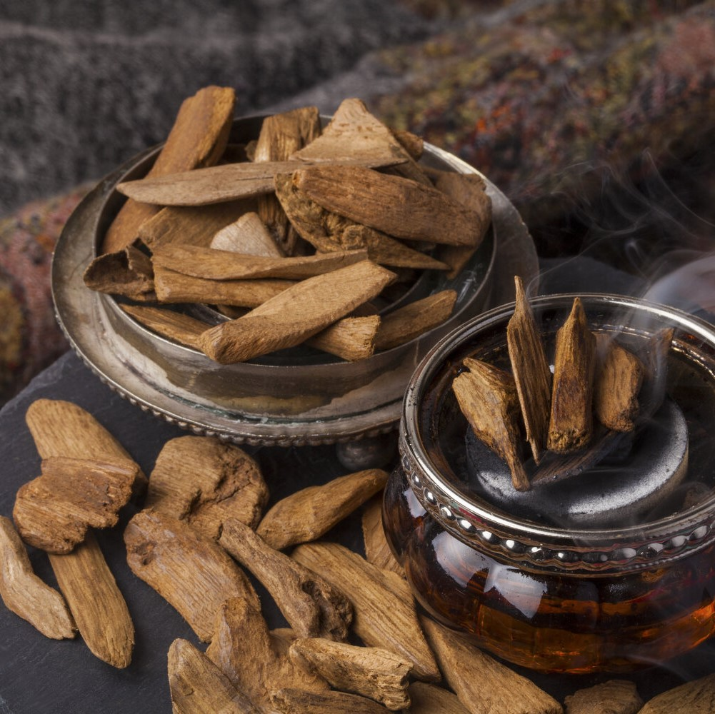 Agarwood chips (oudwood hindi)