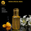 Heena Special India